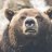 Onur Gök